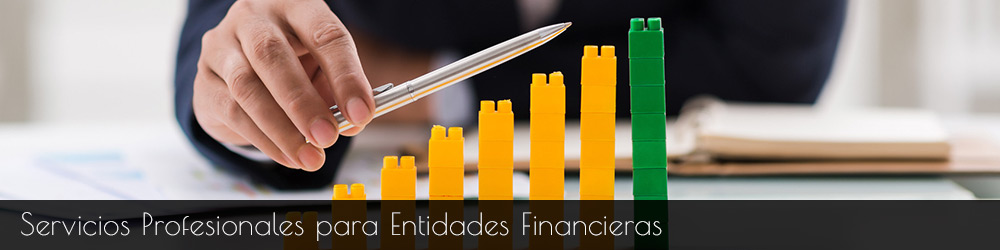 Servicios profesionales para Entidades Financieras.