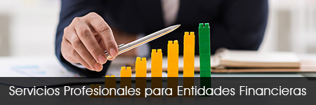 Servicios profesionales para Entidades Financieras.